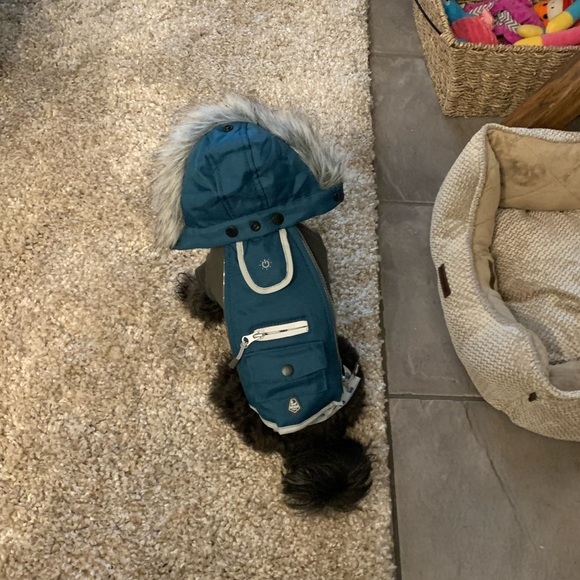 Doggy jacket - Picture 2 of 2